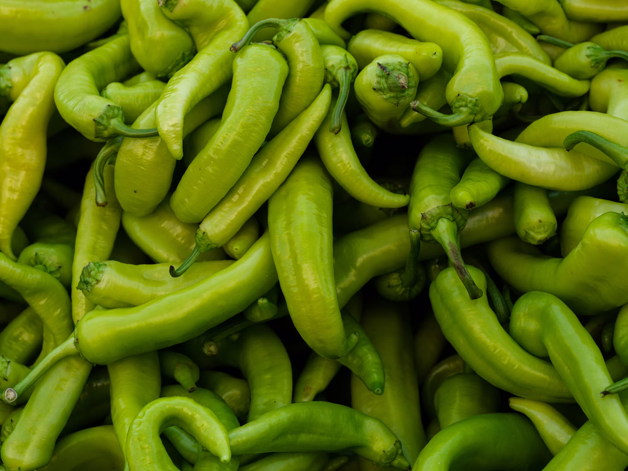Mindful Eating: A Pathway to Healthier Living